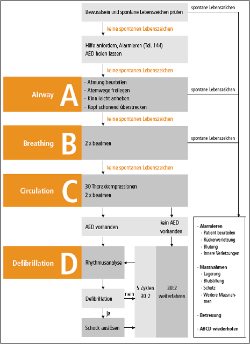 Behaviour in the event of accidents