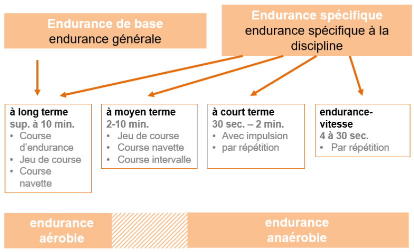 Manifestations de l'endurance
