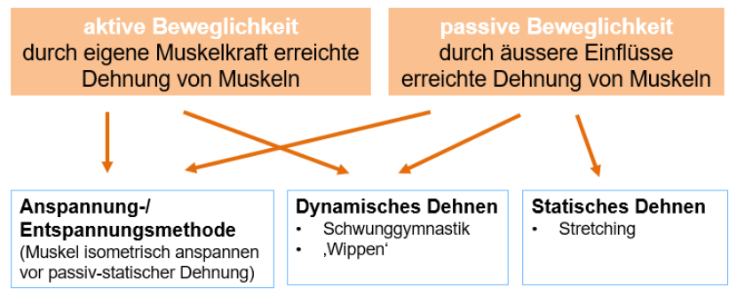 Manifestations of mobility