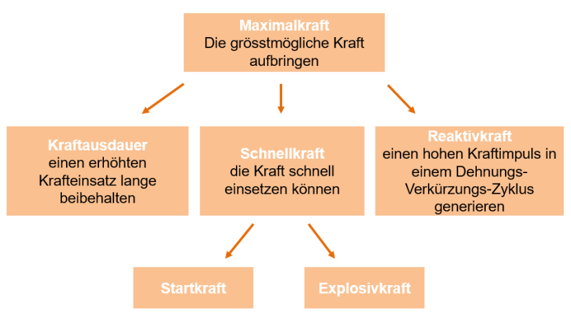 Erscheinungsformen der Kraft