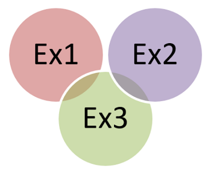 Formes d'organisation