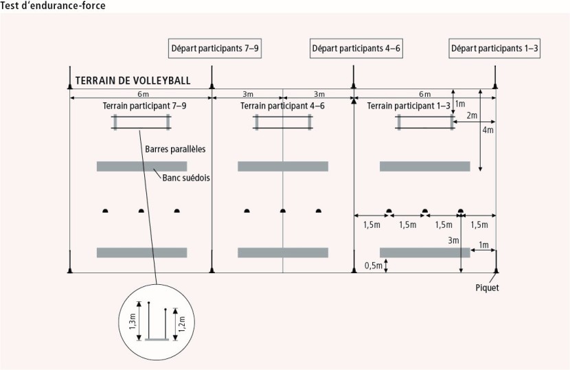 Test d'endurance-force (TEF)