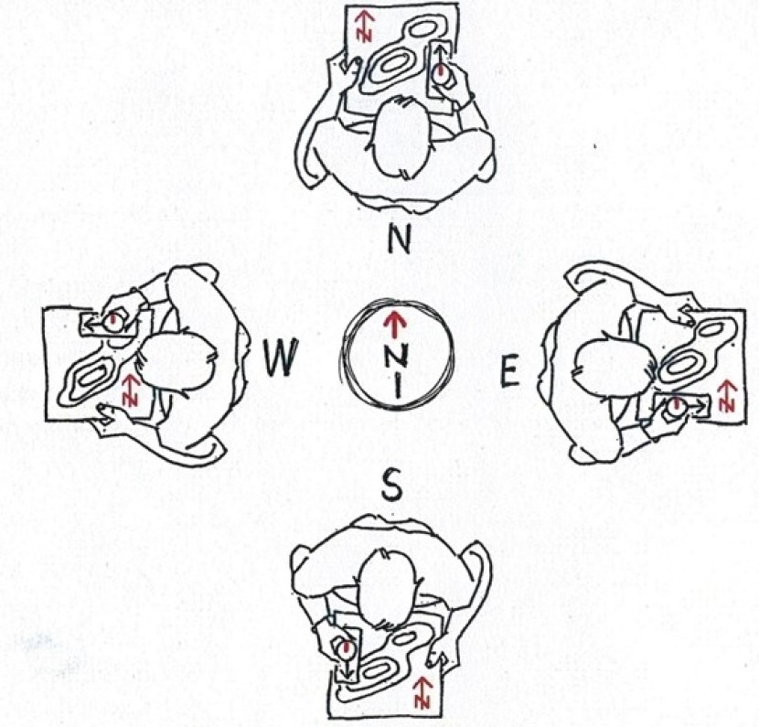 Cartography and reading technique