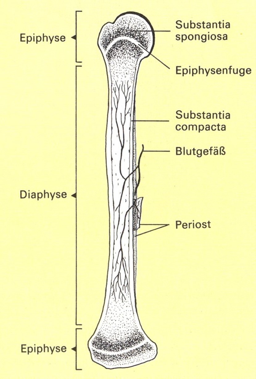 Passive structures