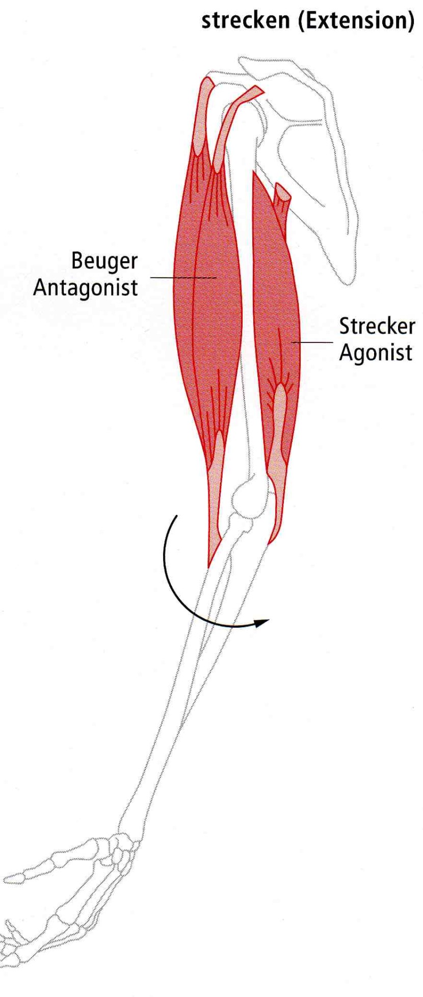 Active structures