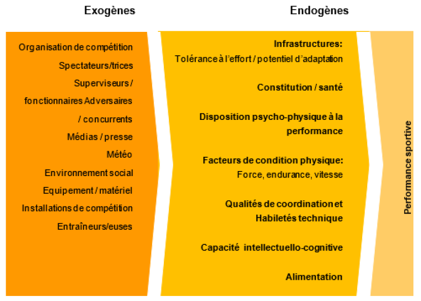 Performance sportive