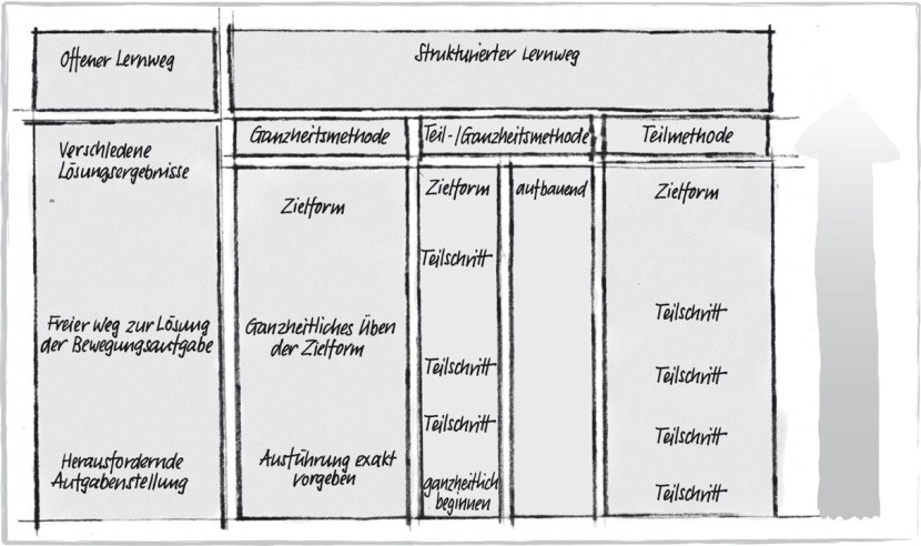 Structure of a sports lesson