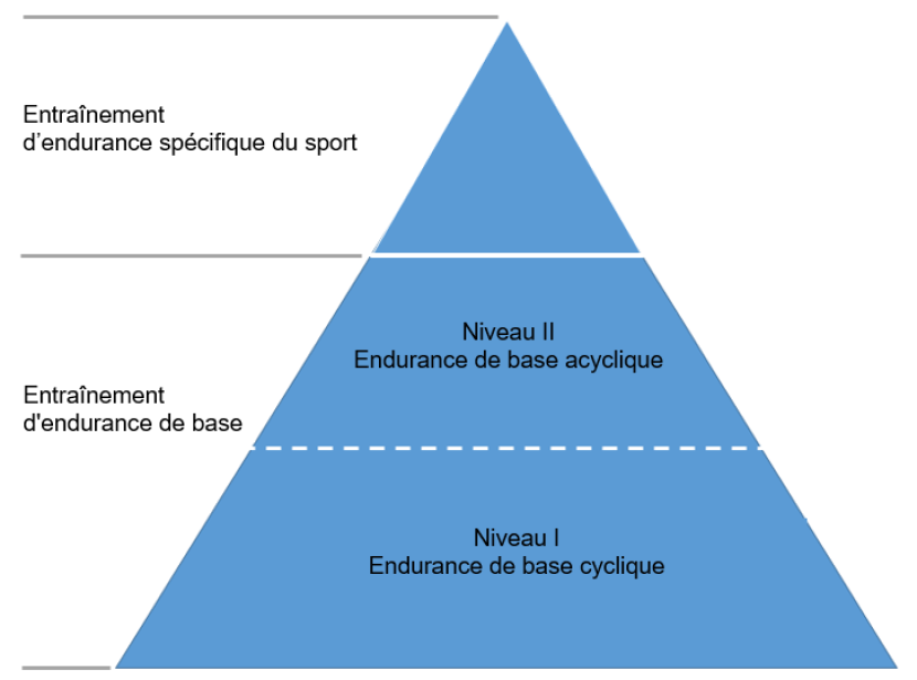 Aspects méthodologiques de l'entraînement d'endurance