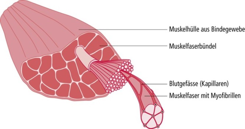 Active structures