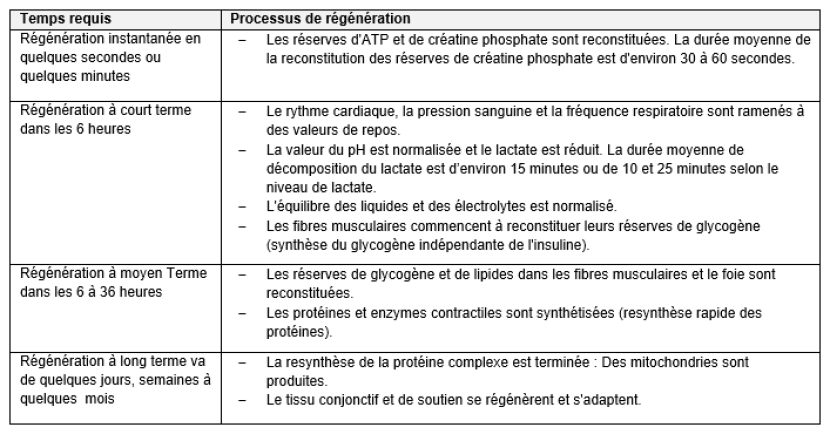 Retour au calme / régénération
