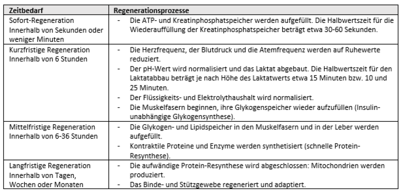 Conclusion / Regeneration