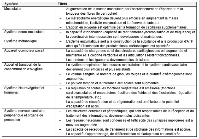 Entraînement
