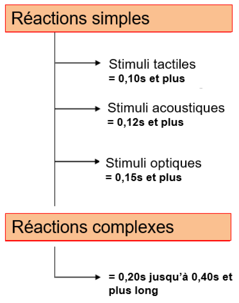 Objectifs et effets de l'entraînement de vitesse