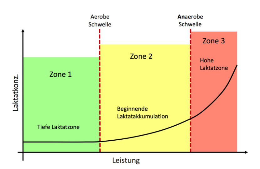 Metabolism