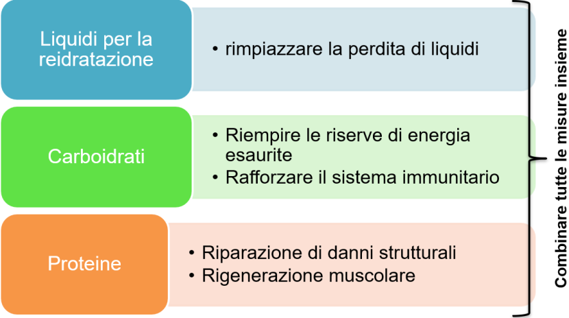 Alimentazione durante lo sforzo fisico