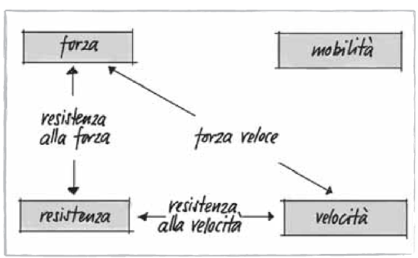 Sostanza condizionata