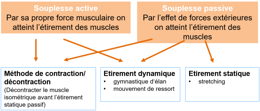 Manifestations de la mobilité