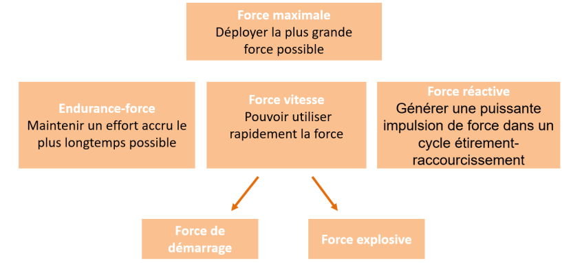 Manifestation de la force