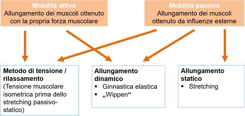 Manifestazioni di mobilità