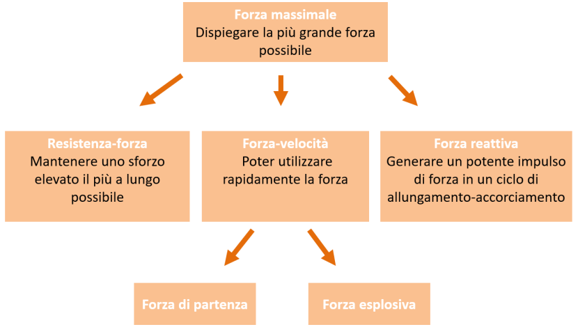 Manifestazioni di potere