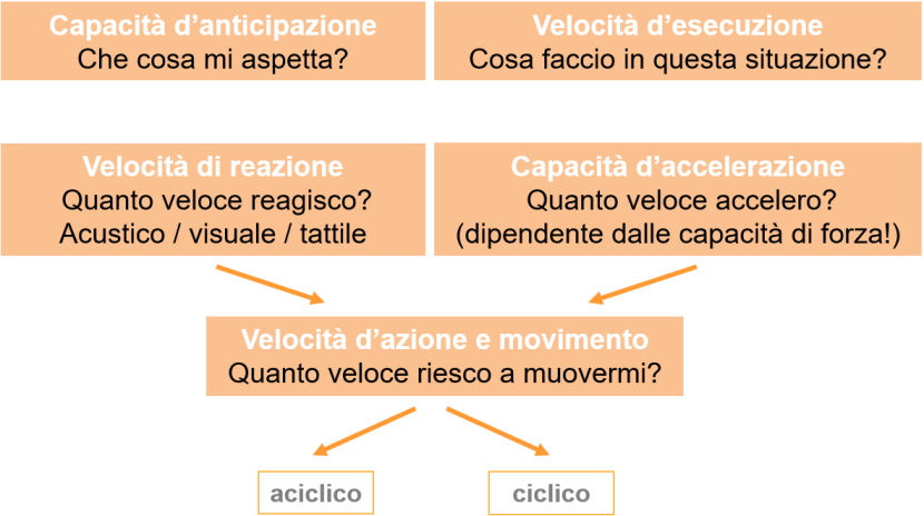 Manifestazioni di velocità