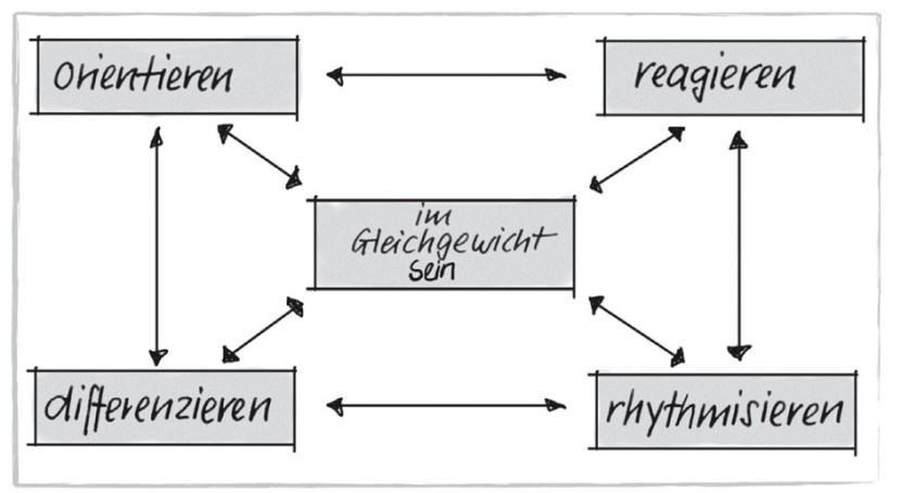 The teaching model and its three core concepts