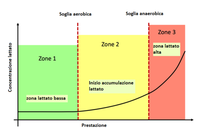Metabolismo