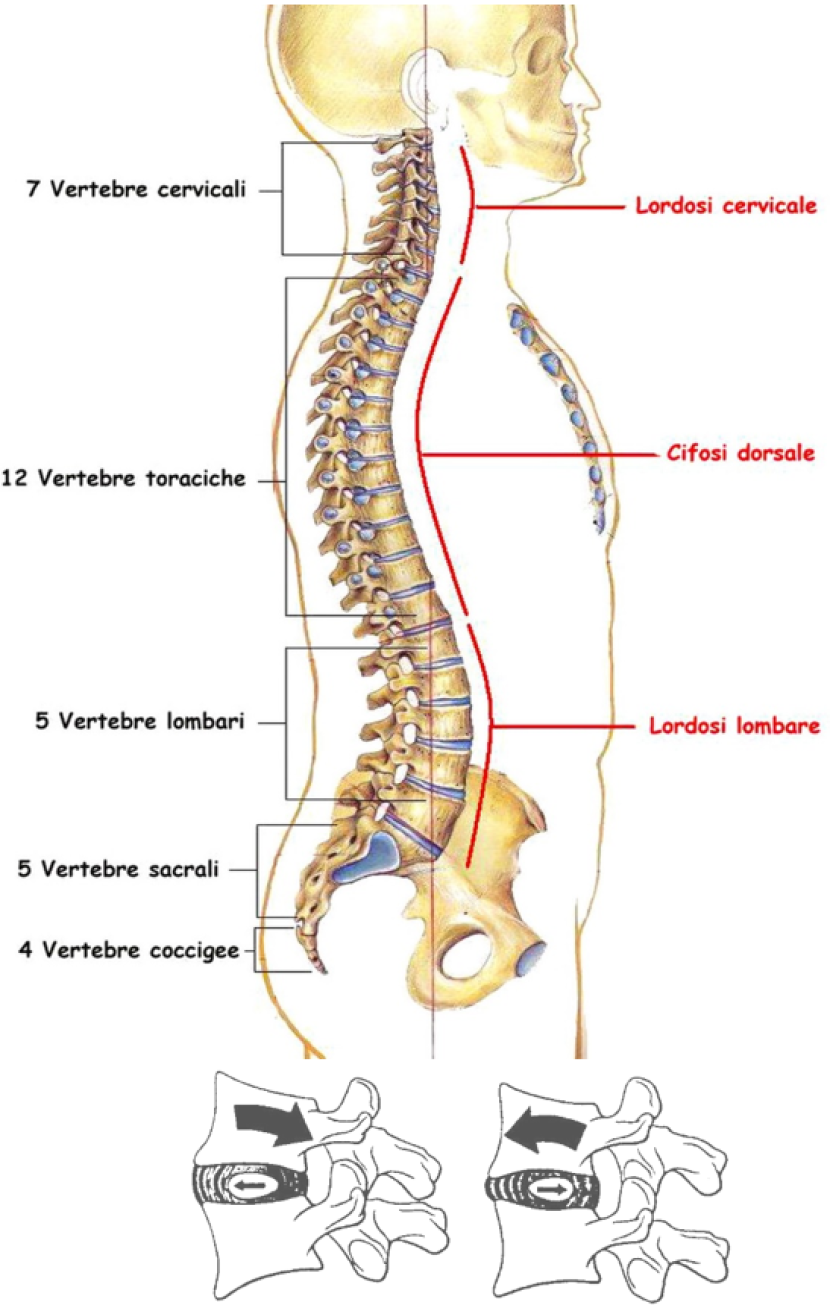 Strutture passive