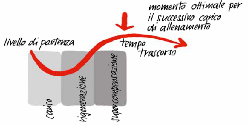 Formazione