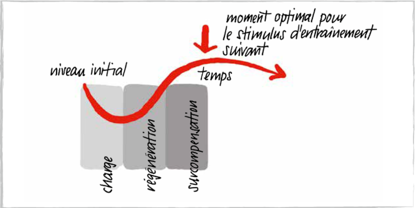 Entraînement